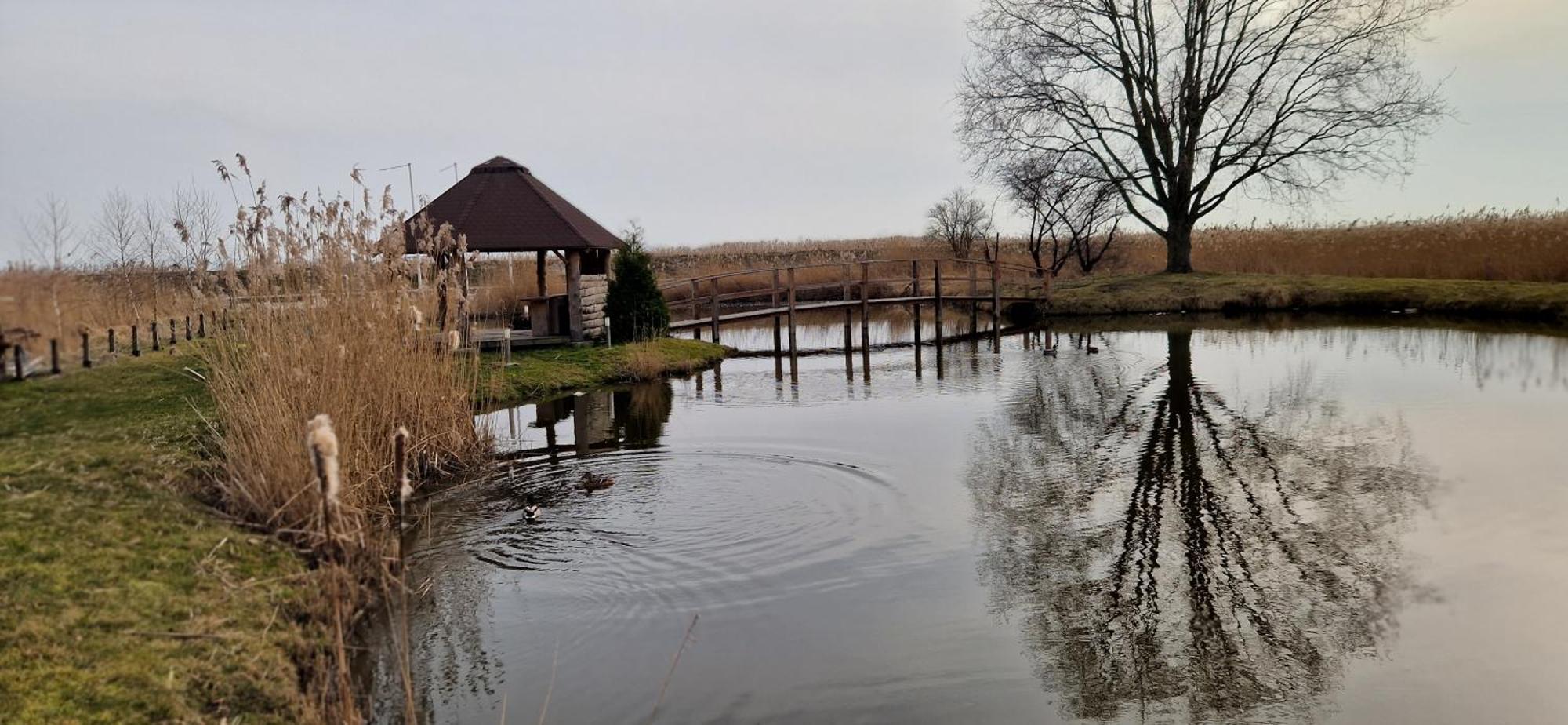Holiapart In No 1 - Urokliwa Okolica, Przy Zalewie, Klimatyzowane, Swiatlowod, Widok Na Zalew Wislany *